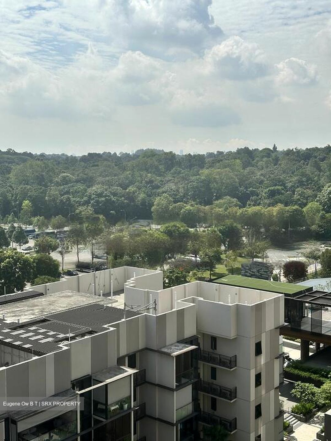 Dairy Farm Residences (D23), Apartment #469122981